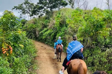 Coral Coast Fiji Mountain View Horse Riding 2026